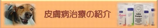 02dボタン2.jpg